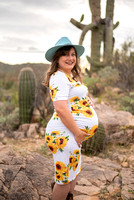 Amber Brown Maternity Photos 2023