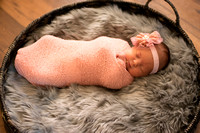 Madison's Newborn Photos